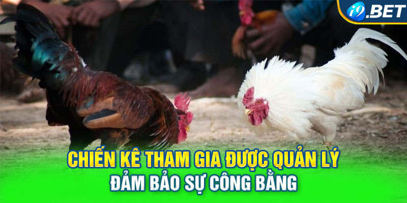 Chiến kê tham gia được quản lý đảm bảo sự công bằng