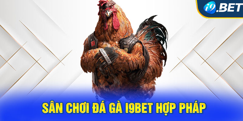 Sân chơi đá gà i9BET hợp pháp